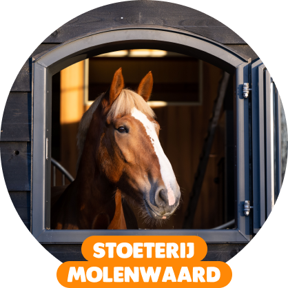 Stoeterij Molenwaard